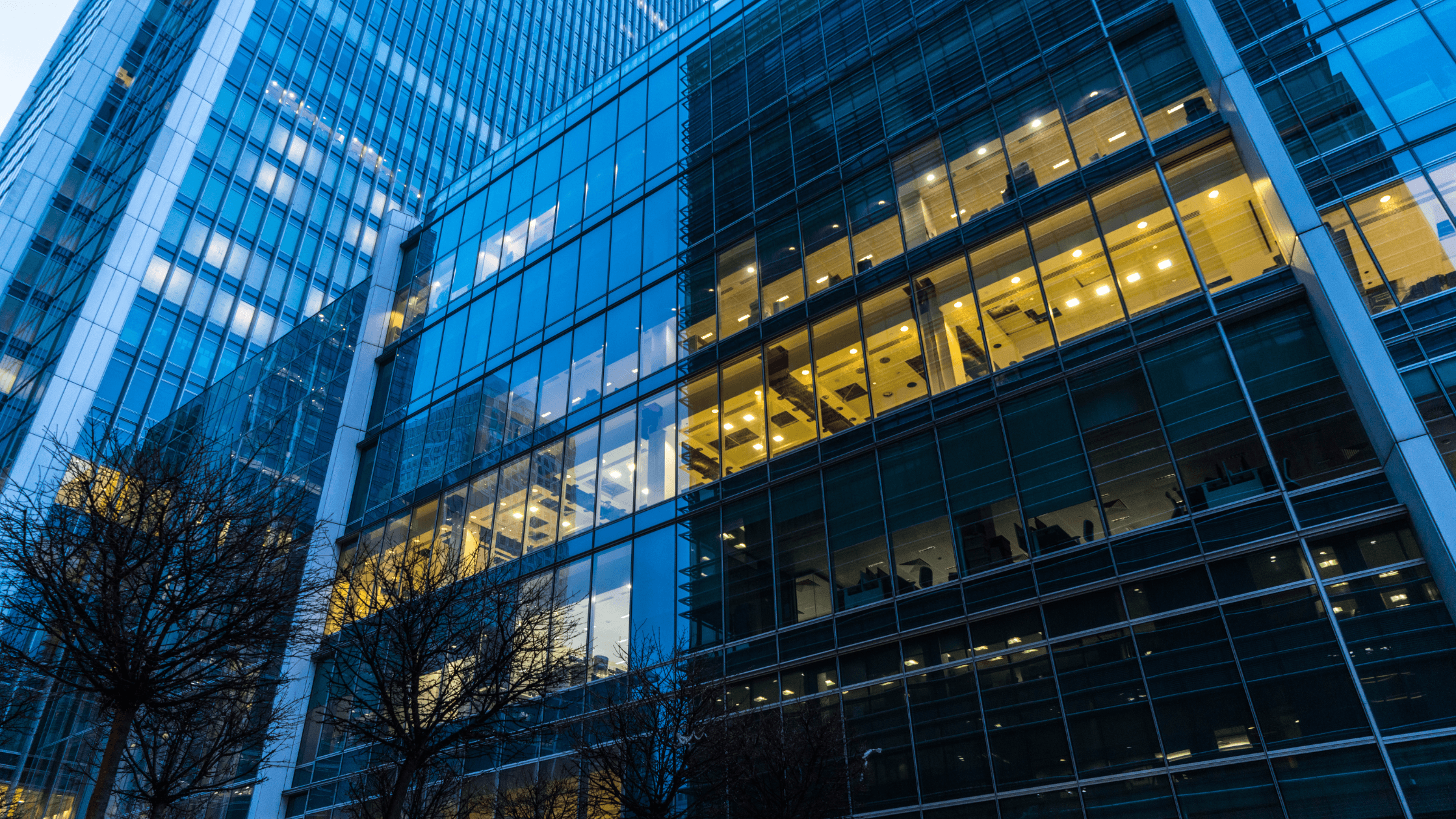 Modern glass office building with illuminated interiors and visible reflections, viewed from below with leafless trees in foreground.
