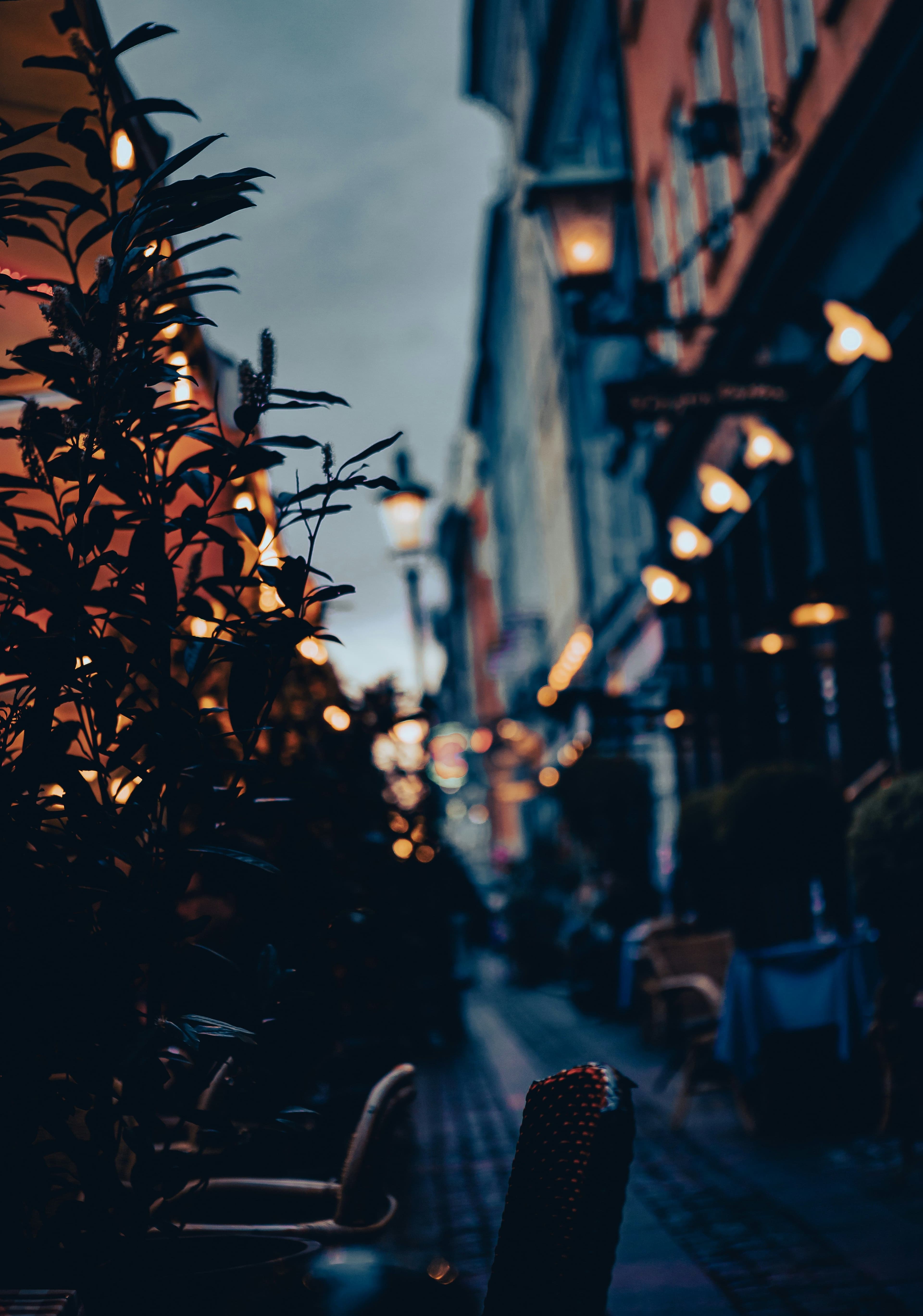 Dimly lit narrow street with warm lights, outdoor seating, and foliage. Evening sky creates a moody, inviting atmosphere.