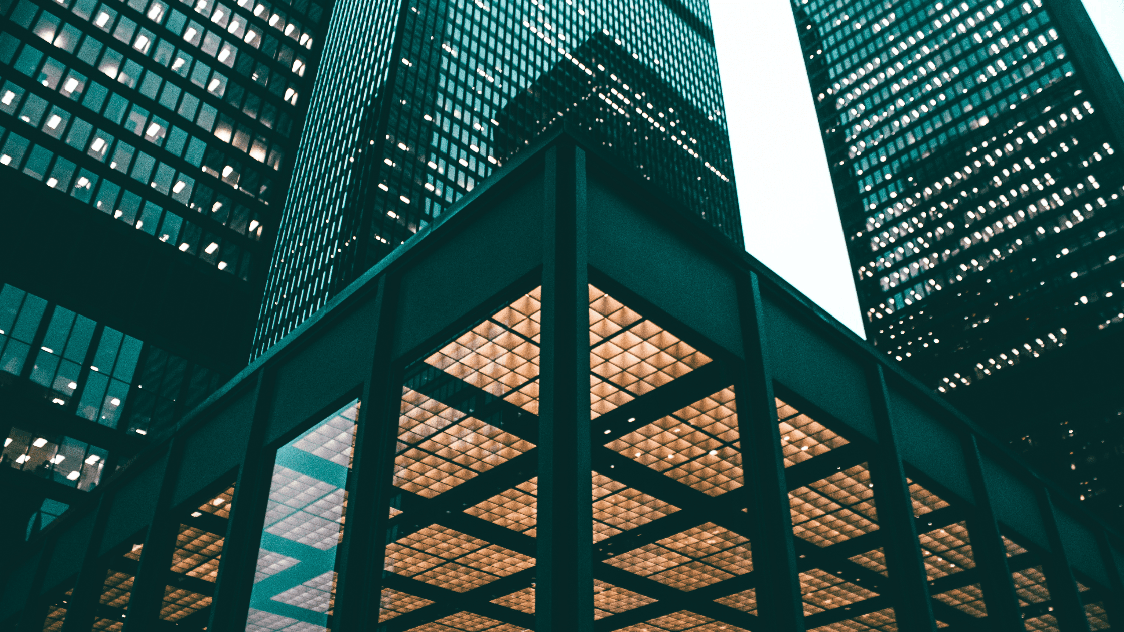 How to Optimize Your Expense Management image