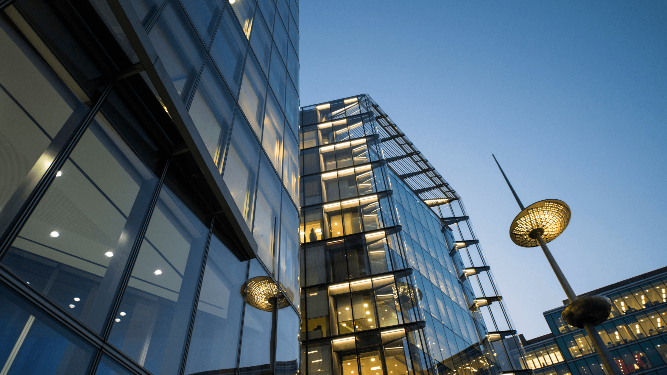 Shared Services: Building a Scalable Model for Growth image