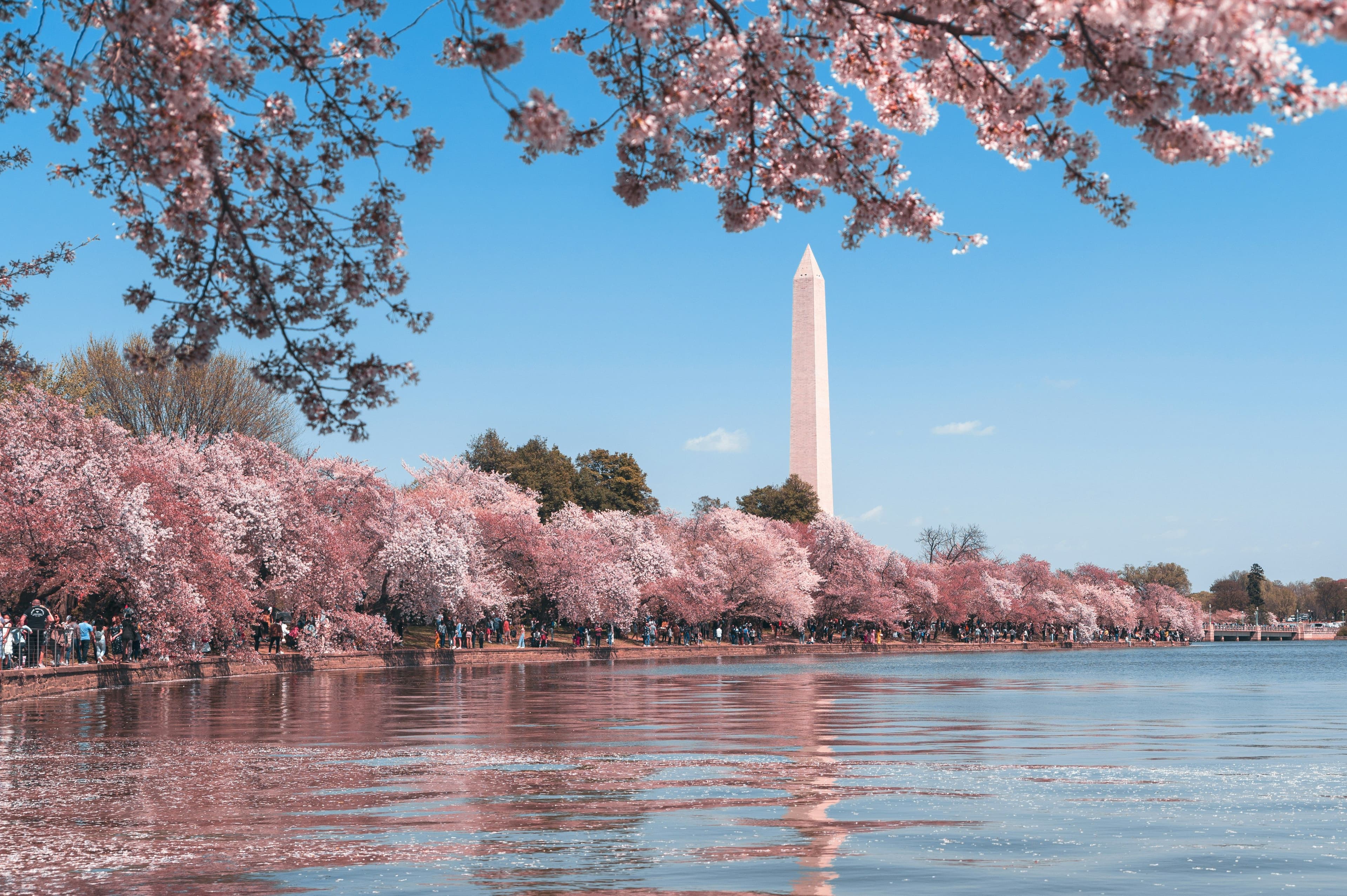 Washington DC office image